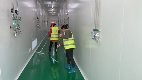 什么是開荒保潔 什么是精保潔 99 的人不知道它們的區別